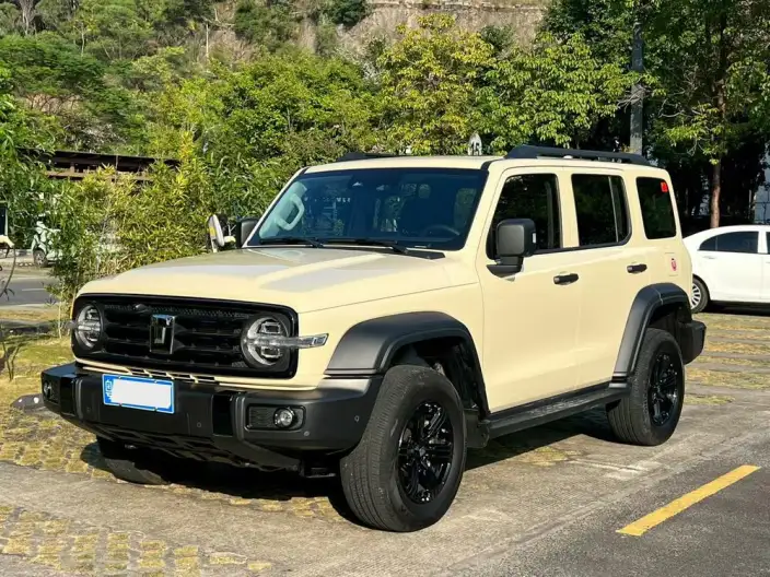 Tank 300 2025 Model 2.4T Diesel Edition