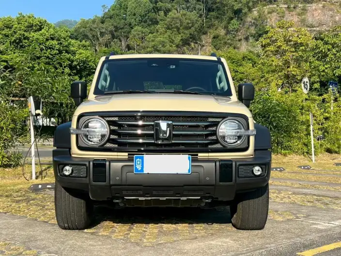 Tank 300 2025 Model 2.4T Diesel Edition