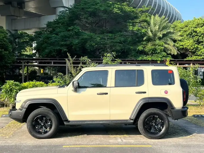 Tank 300 2025 Model 2.4T Diesel Edition
