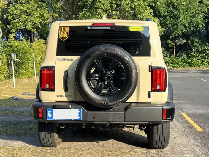 Tank 300 2025 Model 2.4T Diesel Edition