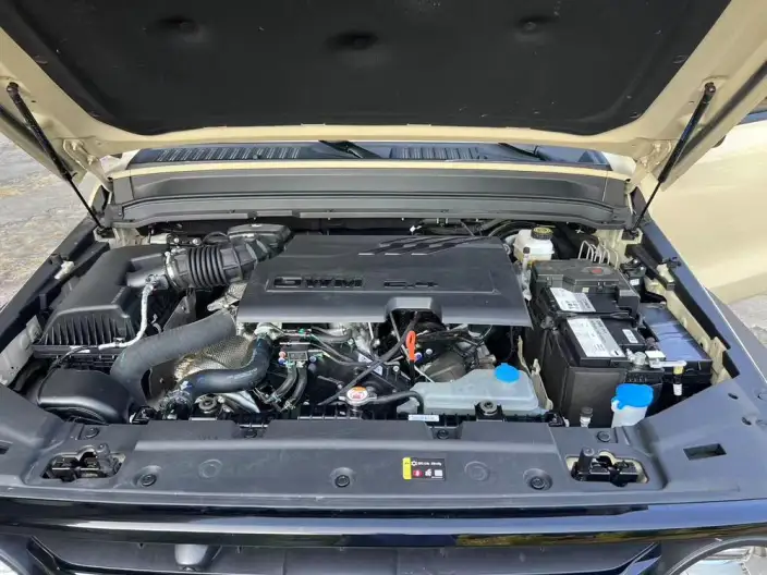 Tank 300 2025 Model 2.4T Diesel Edition – фото 6