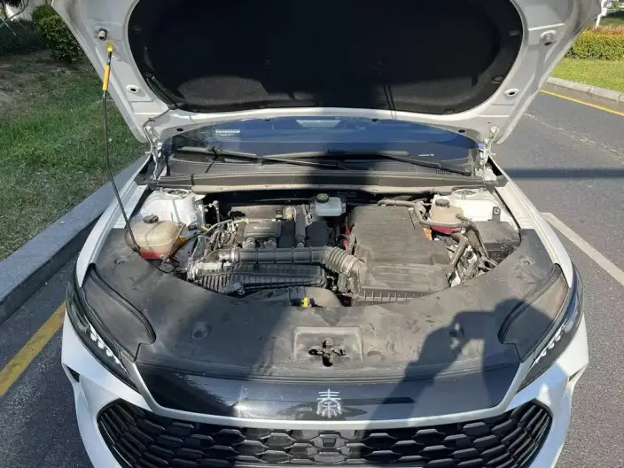 BYD Qin PLUS DM 2025 Model Smart Driving Edition DM-i 55KM Leading Model – фото 8