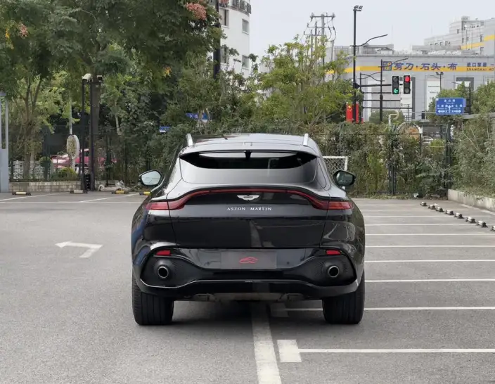 Aston Martin DBX 2022 Model 4.0T V8 – фото 6