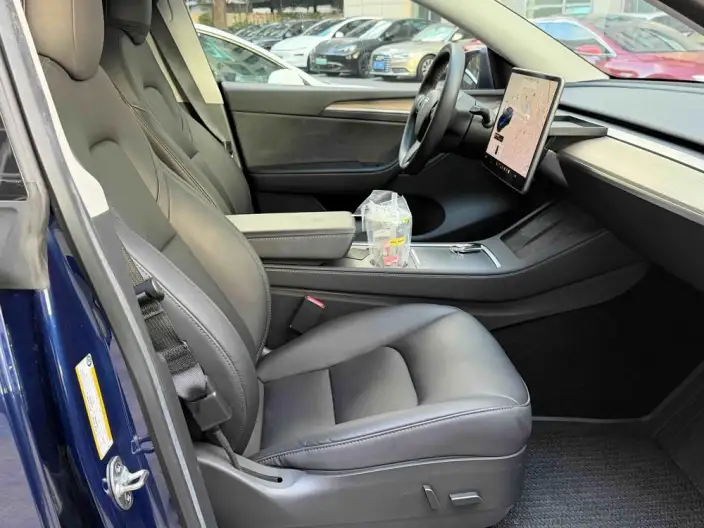 Model Y 2021 Model Standard Battery Life Rear-wheel drive version – фото 6