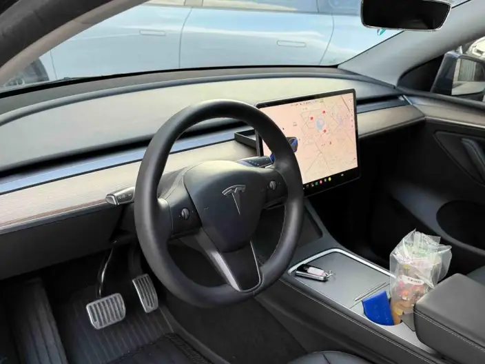 Model Y 2021 Model Standard Battery Life Rear-wheel drive version – фото 8