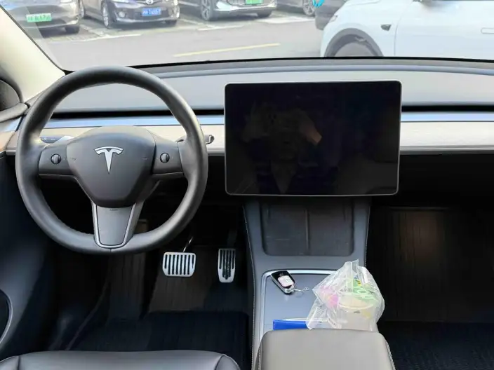 Model Y 2021 Model Standard Battery Life Rear-wheel drive version – фото 10