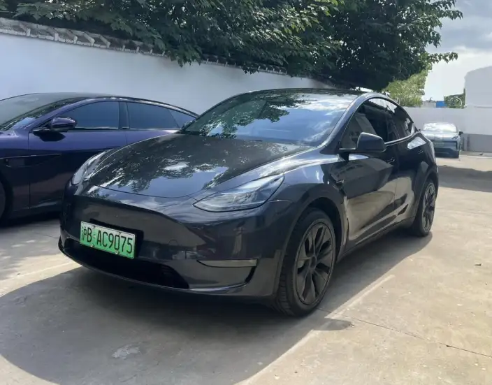 Model Y 2024 Model Long Battery Life Pro All-wheel drive version – фото 1
