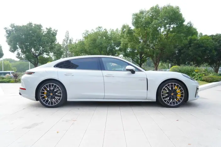 Panamera E-Hybrid 2025 Model Panamera 4 E-Hybrid Executive Extended Edition 2.9T – фото 8