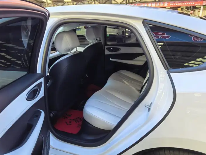 BYD Seal 05DM 2025 Model Smart Driving Edition DM-i 55KM Luxury Model – фото 9