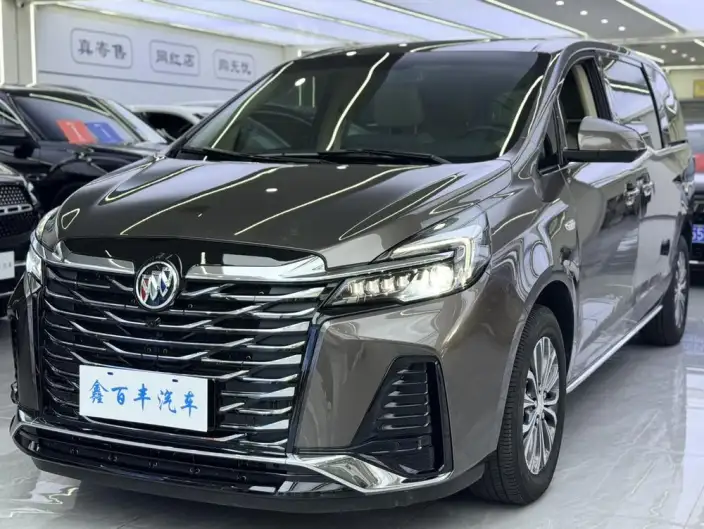 Buick GL8 2023 Model Business class 2.0T Luxury Model – фото 1