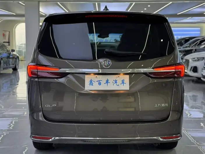 Buick GL8 2023 Model Business class 2.0T Luxury Model – фото 5