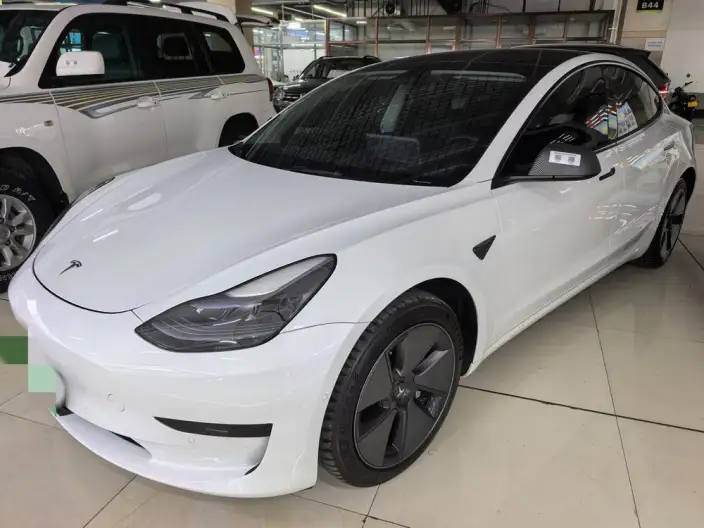 Model 3 2022 Model Rear-wheel drive version – фото 1