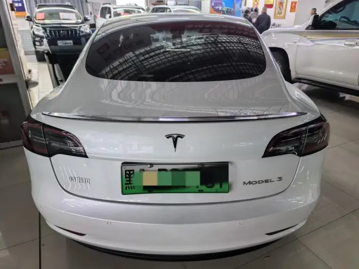 Model 3 2022 Model Rear-wheel drive version – фото 4