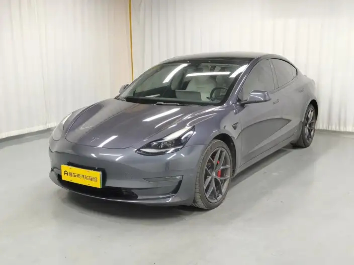 Model 3 2022 Model Performance High performance All-wheel drive version – фото 1