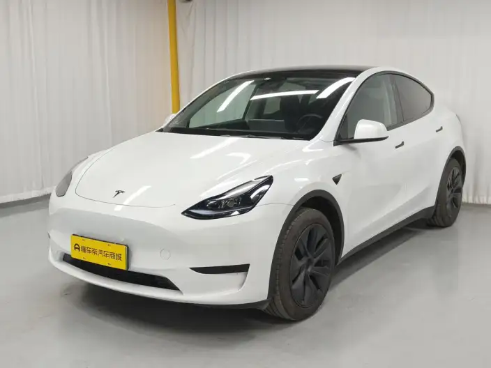 Model Y 2024 Model Rear-wheel drive version – фото 1