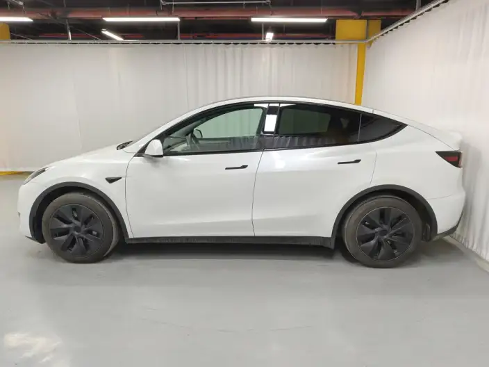 Model Y 2024 Model Rear-wheel drive version – фото 4