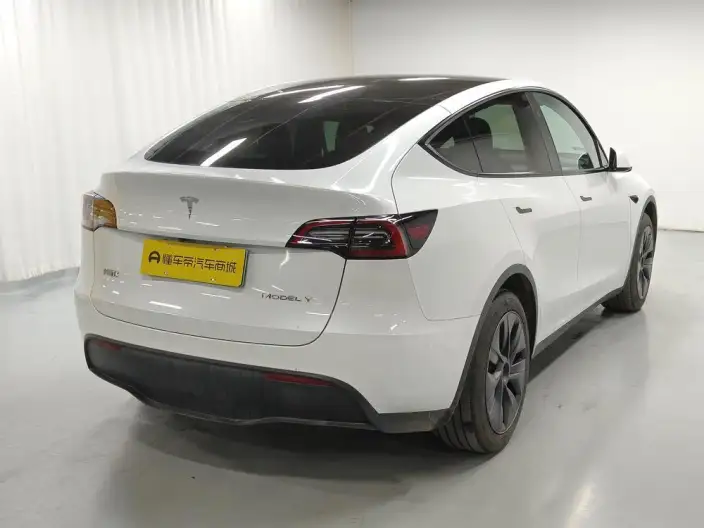 Model Y 2024 Model Rear-wheel drive version – фото 7