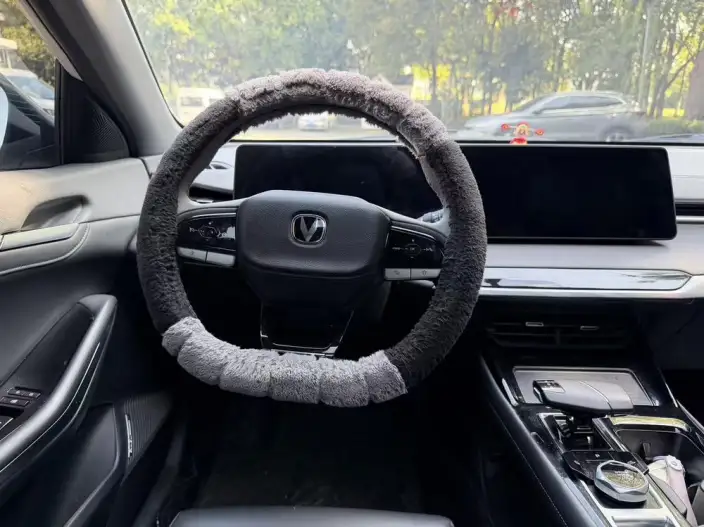 Ruicheng Plus 2023 Model 1.5T DCT Luxury Model – фото 10