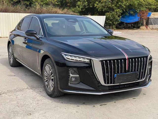 Hongqi H5 2023 2.0T Automatic Connected Qixiang – фото 3