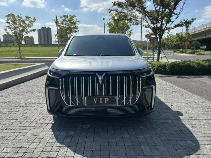 VOYAH Dreamer PHEV 2024 Model Ultra-long Endurance Premium Edition – фото 2