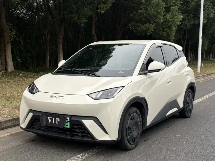 BYD Seagull 2024 Model Honor Edition 305KM Vitality Edition – фото 1
