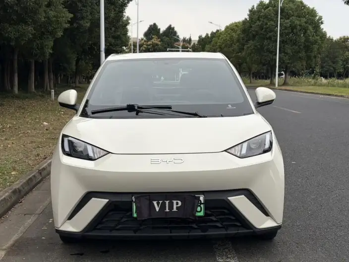 BYD Seagull 2024 Model Honor Edition 305KM Vitality Edition – фото 2