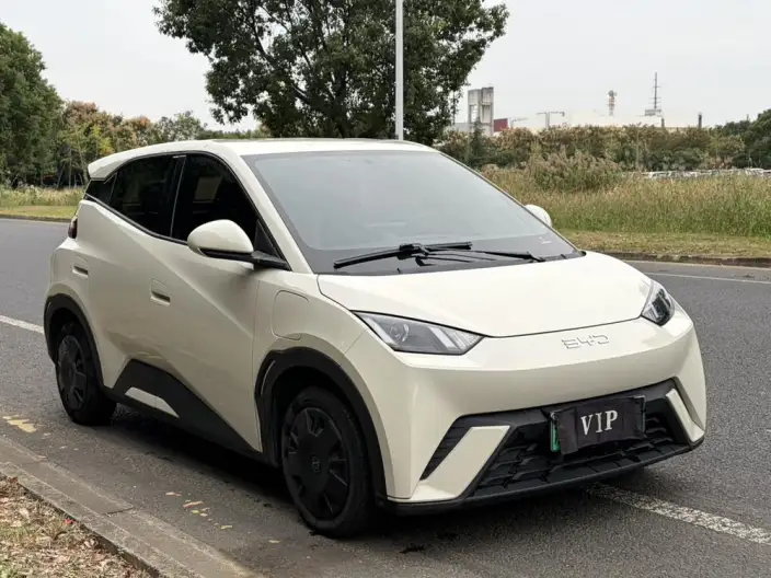 BYD Seagull 2024 Model Honor Edition 305KM Vitality Edition – фото 3
