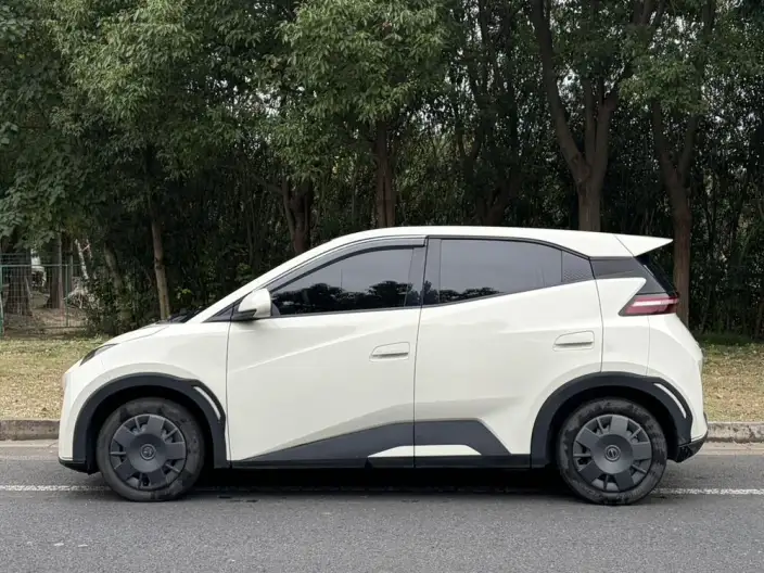 BYD Seagull 2024 Model Honor Edition 305KM Vitality Edition – фото 4