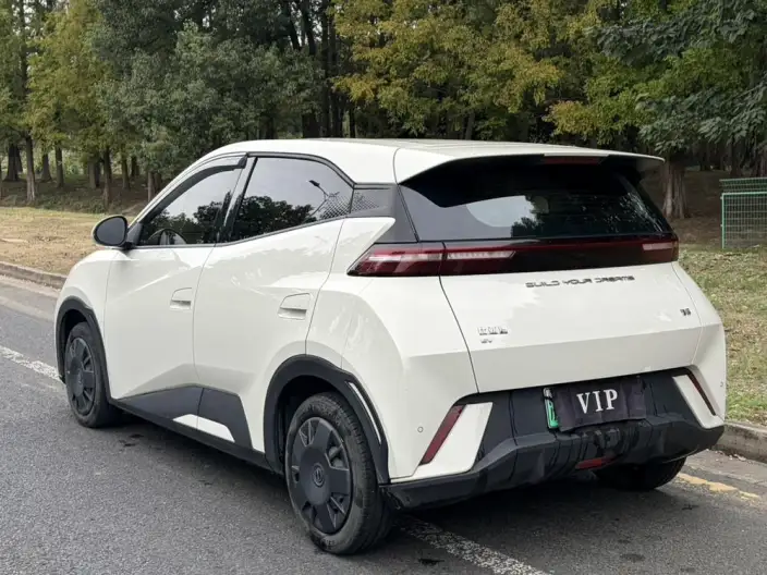 BYD Seagull 2024 Model Honor Edition 305KM Vitality Edition – фото 5