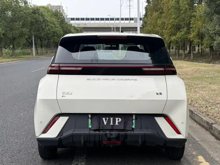 BYD Seagull 2024 Model Honor Edition 305KM Vitality Edition – фото 6
