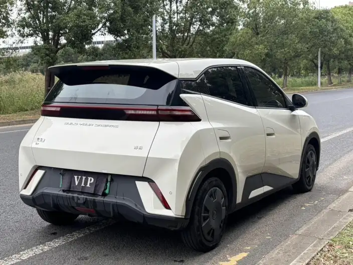 BYD Seagull 2024 Model Honor Edition 305KM Vitality Edition – фото 7