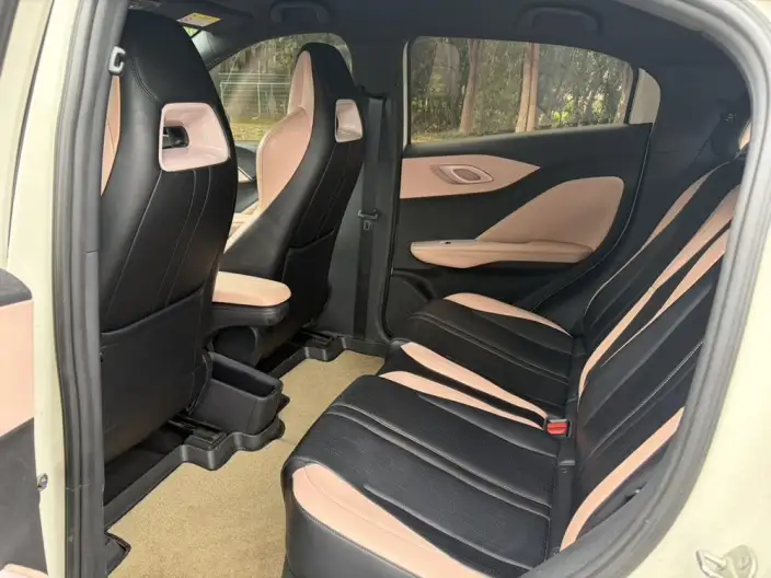 BYD Seagull 2024 Model Honor Edition 305KM Vitality Edition – фото 9