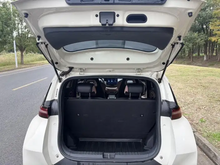 BYD Seagull 2024 Model Honor Edition 305KM Vitality Edition – фото 10