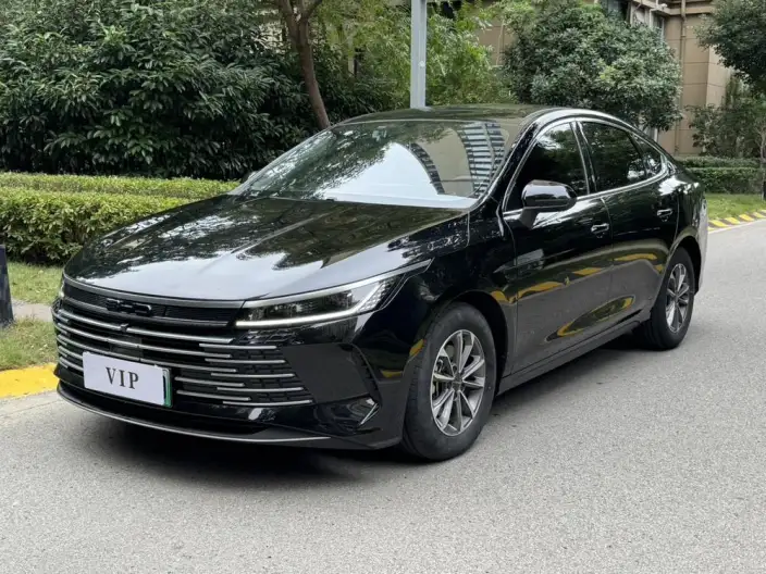 BYD Destroyer 05 2024 Model Honor Edition DM-i 55KM Luxury Model – фото 1