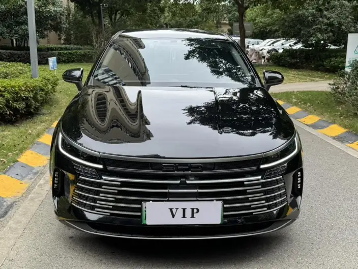 BYD Destroyer 05 2024 Model Honor Edition DM-i 55KM Luxury Model – фото 2