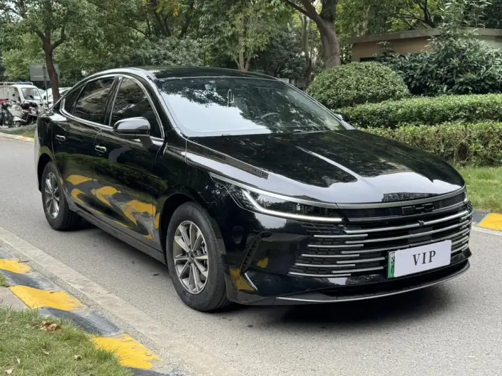 BYD Destroyer 05 2024 Model Honor Edition DM-i 55KM Luxury Model – фото 3