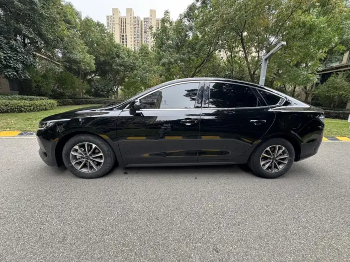 BYD Destroyer 05 2024 Model Honor Edition DM-i 55KM Luxury Model – фото 4