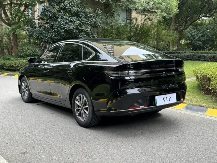 BYD Destroyer 05 2024 Model Honor Edition DM-i 55KM Luxury Model – фото 5