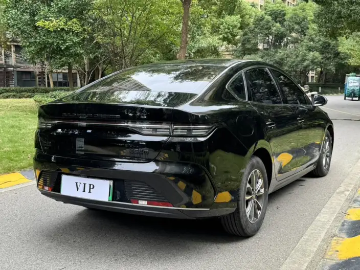 BYD Destroyer 05 2024 Model Honor Edition DM-i 55KM Luxury Model – фото 7