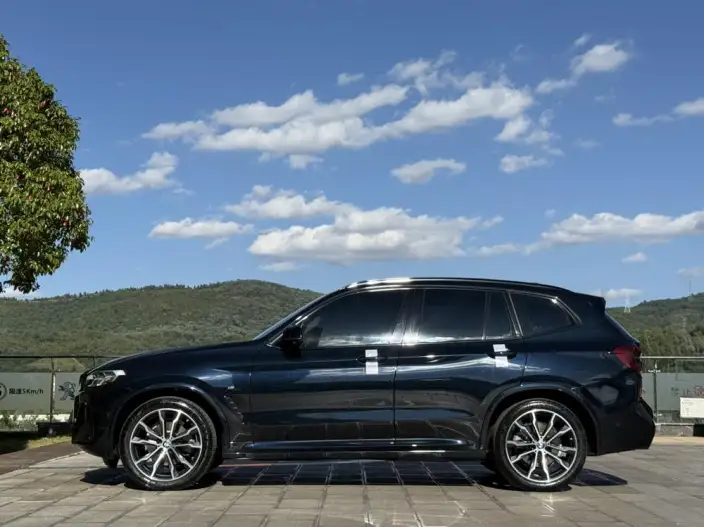 BMW X3 2022 Model xDrive30i Leading Model M Night Set – фото 4