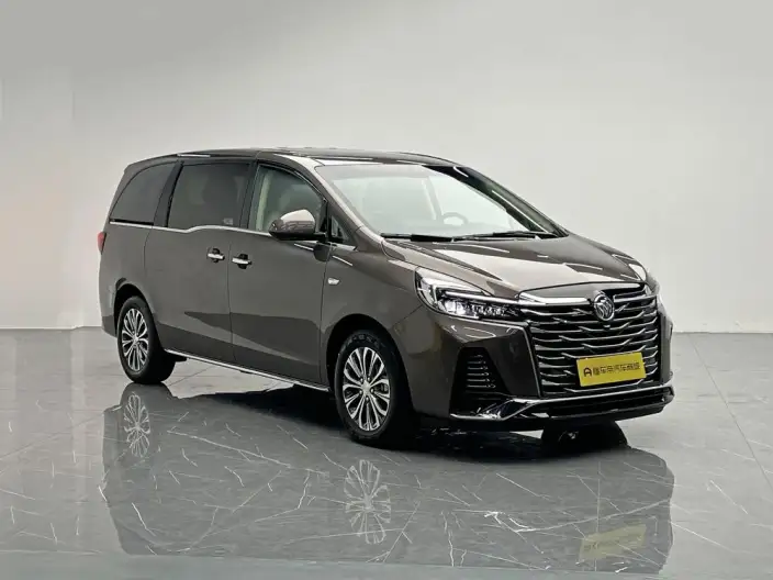 Buick GL8 2023 Model Business class 2.0T Luxury Model – фото 3