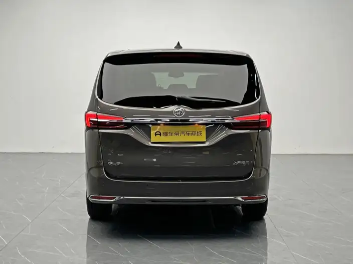 Buick GL8 2023 Model Business class 2.0T Luxury Model – фото 6
