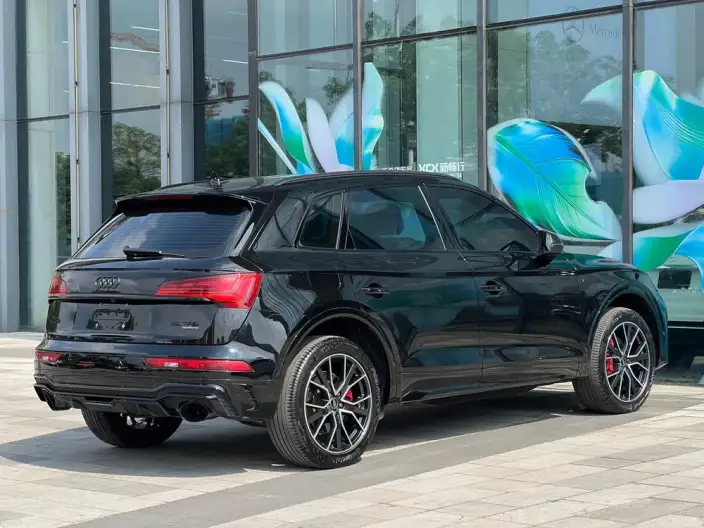 Audi Q5L 2025 Model 45TFSI Luxury Dynamic Model – фото 6