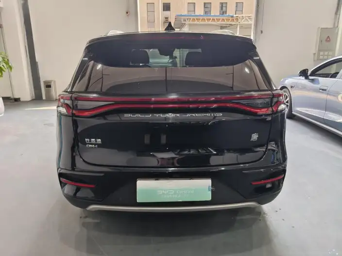 BYD Tang DM 2021 Model DM-i 1.5T 112KM Noble Model – фото 6