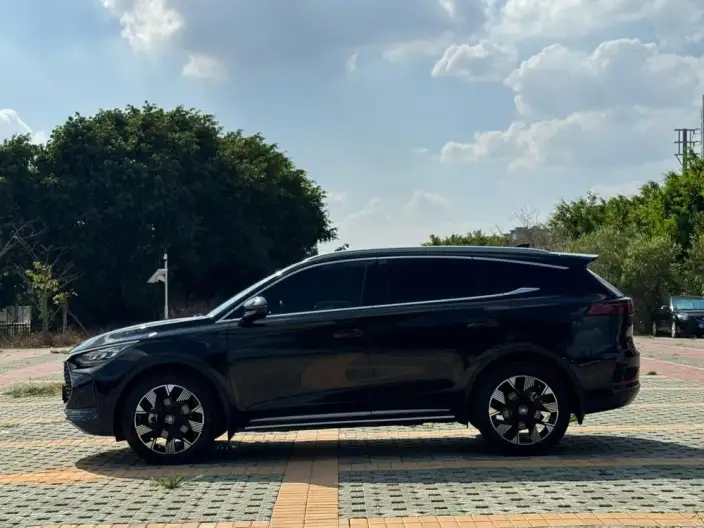 BYD Tang DM 2024 Model Honor Edition DM-i 112KM Flagship Model – фото 3