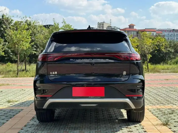 BYD Tang DM 2024 Model Honor Edition DM-i 112KM Flagship Model – фото 4