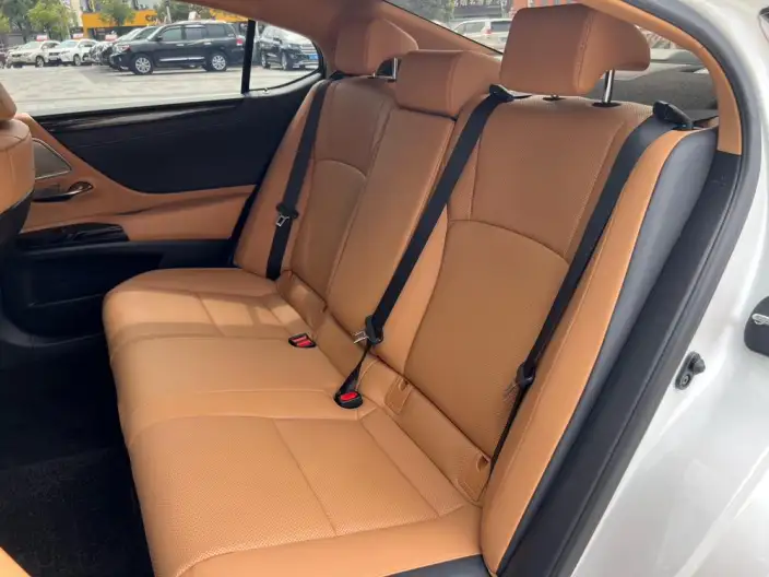 Lexus ES 2022 Model 300h Superior Edition – фото 9