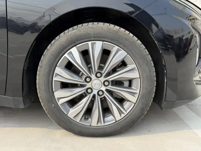 Hongqi E-QM5 2024 Model 450KM Travel Edition 100kW – фото 7