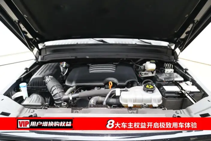 Tank 300 2025 Model 2.0T Gasoline Edition Challenger – фото 7