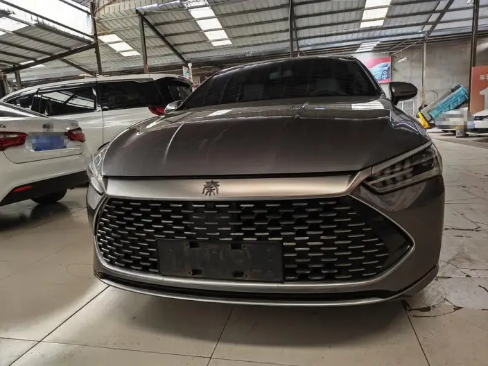 BYD Qin PLUS DM 2024 Model Honor Edition DM-i 55KM Leading Model – фото 2